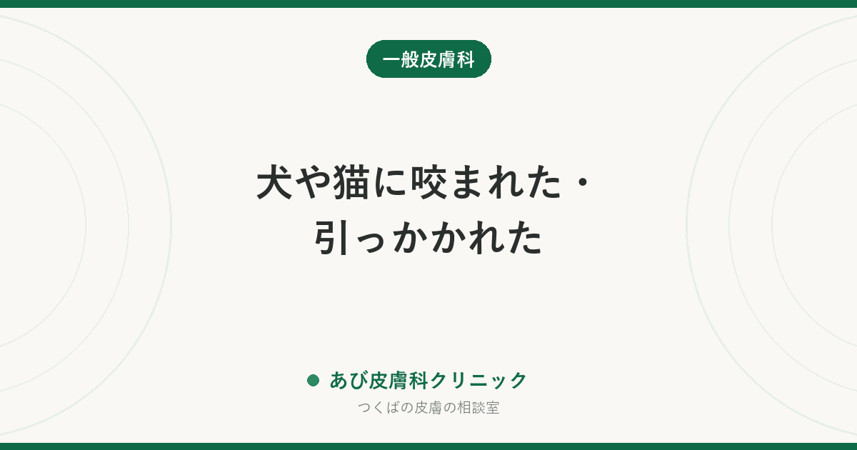犬や猫に咬まれた・引っかかれた｜自宅でやること、縫わない理由、受診が必要なサイン