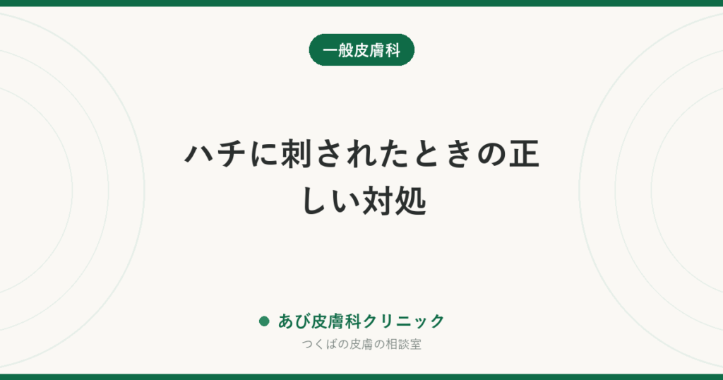 ハチに刺されたときの正しい対処｜すぐ受診すべきサインと、あとから腫れる反応の違い