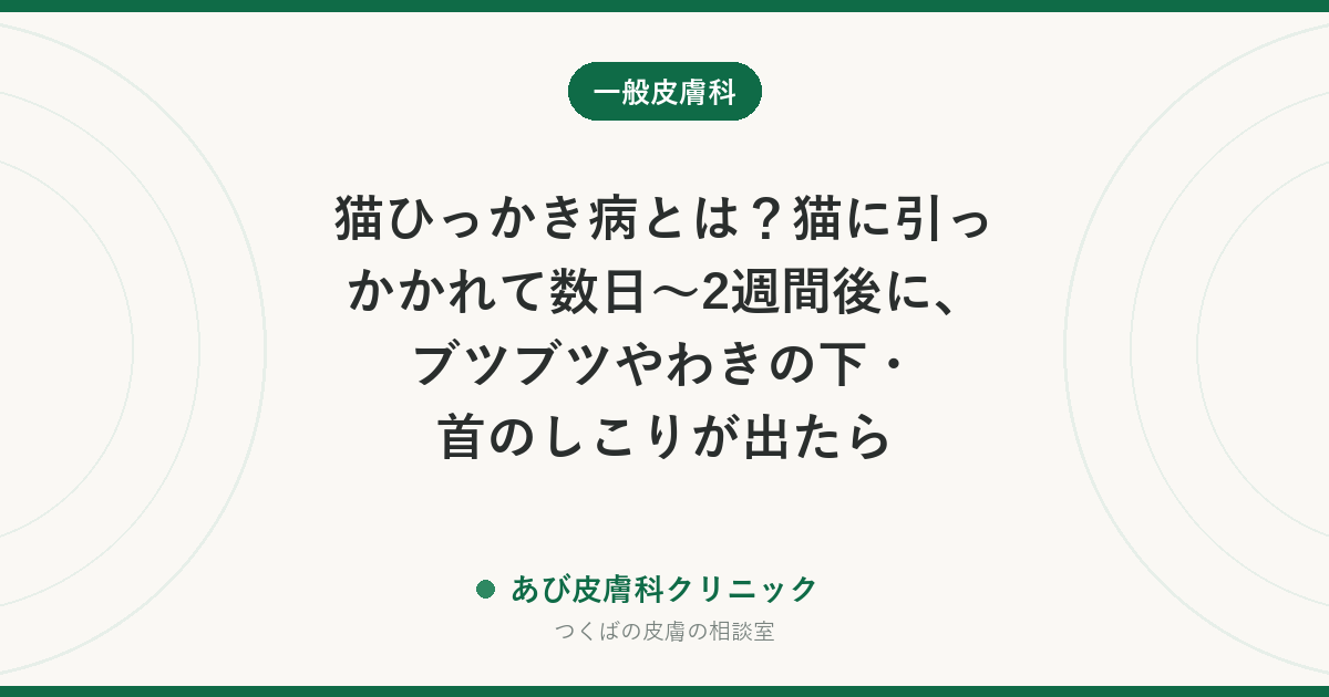猫ひっかき病とは？猫に引っかかれて数日〜2週間後に、ブツブツやわきの下・首のしこりが出たら｜症状・治療・受診の目安