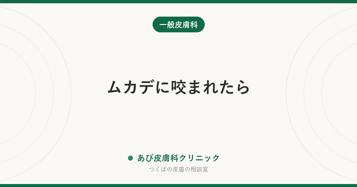 ムカデに咬まれたら｜その場でやること、腫れの経過と受診の目安