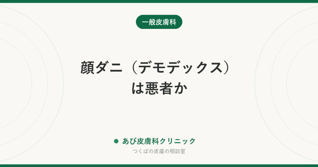顔ダニ（デモデックス）は悪者か｜誰の顔にもいる常在のダニと、増えたときに起きる肌荒れ