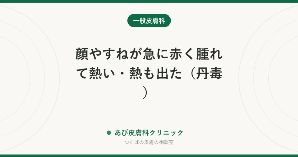 顔やすねが急に赤く腫れて熱い・熱も出た（丹毒）｜蜂窩織炎との違いと、くり返さないためのポイント