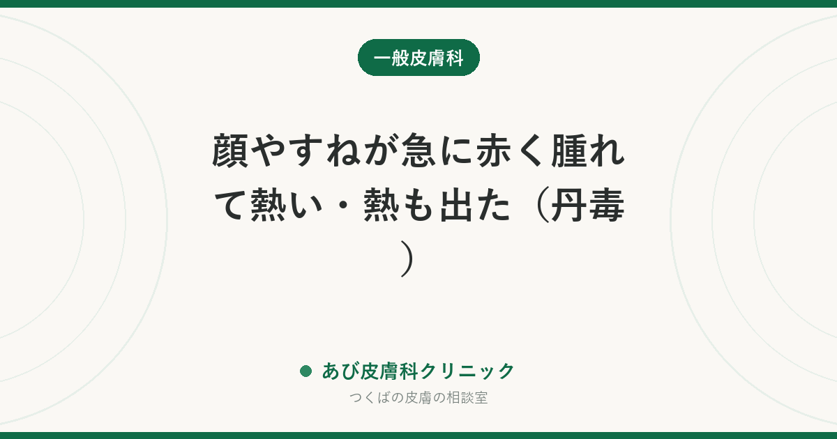 顔やすねが急に赤く腫れて熱い・熱も出た（丹毒）｜蜂窩織炎との違いと、くり返さないためのポイント