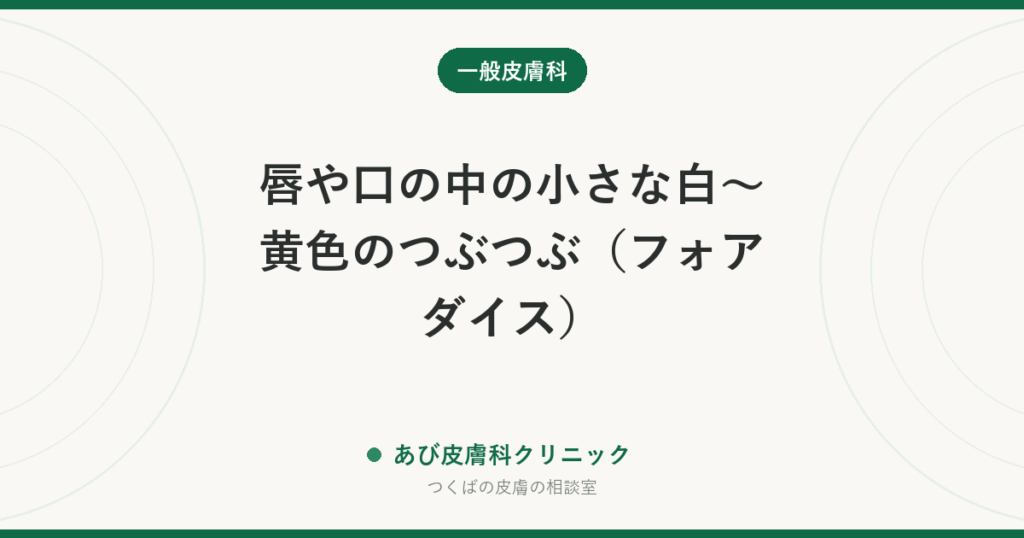 唇や口の中の小さな白〜黄色のつぶつぶ（フォアダイス）｜病気ではなく皮脂腺。うつらず、治療は不要です