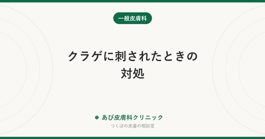 クラゲに刺されたときの対処｜こすらない・真水で洗わない理由と、あとから出るかゆみ