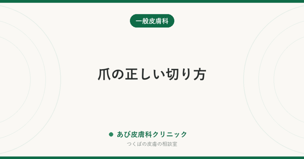 爪の正しい切り方｜深爪が巻き爪を招く理由と、皮膚科が勧める「スクエアオフ」の手順