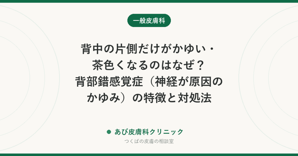 背中の片側だけがかゆい・茶色くなるのはなぜ？背部錯感覚症（神経が原因のかゆみ）の特徴と対処法