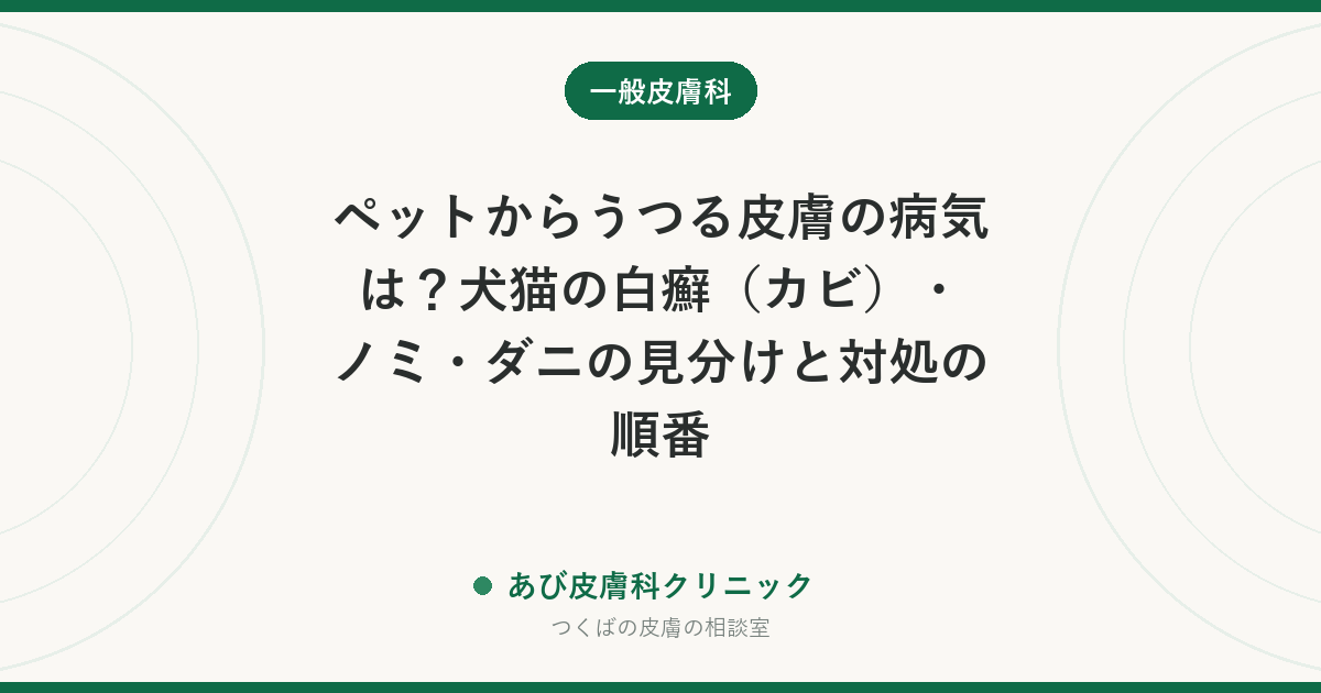 ペットからうつる皮膚の病気は？犬猫の白癬（カビ）・ノミ・ダニの見分けと対処の順番