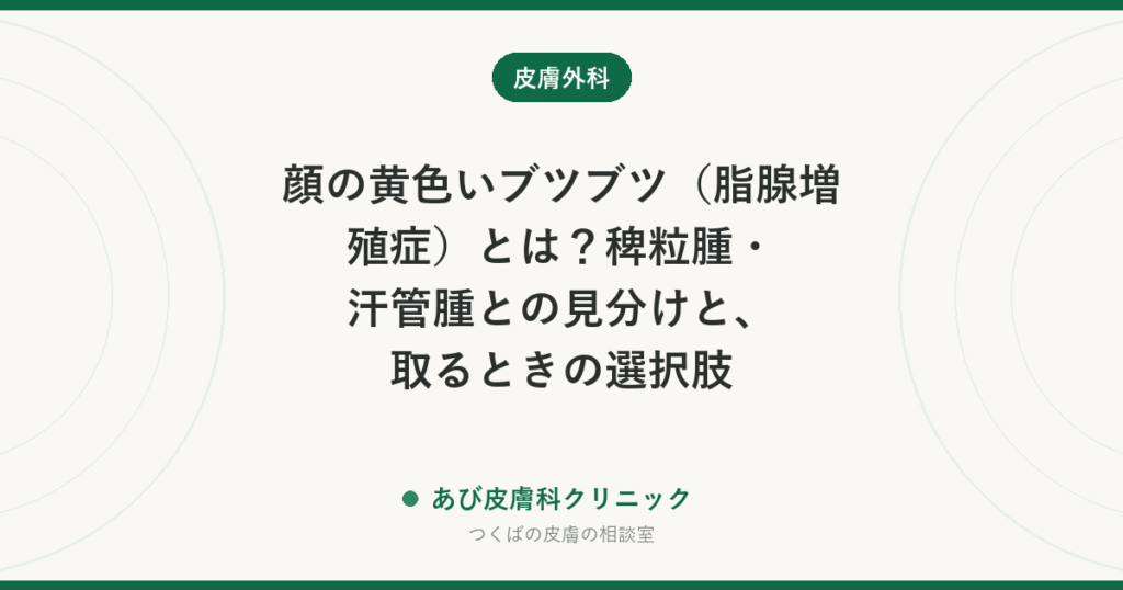 顔の黄色いブツブツ（脂腺増殖症）とは？稗粒腫・汗管腫との見分けと、取るときの選択肢