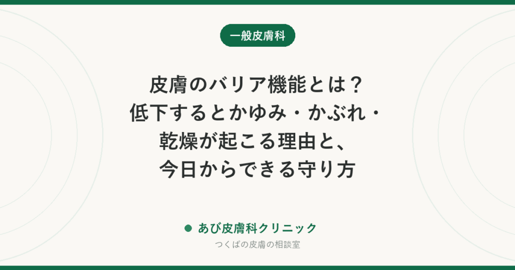 皮膚のバリア機能とは？低下するとかゆみ・かぶれ・乾燥が起こる理由と、今日からできる守り方