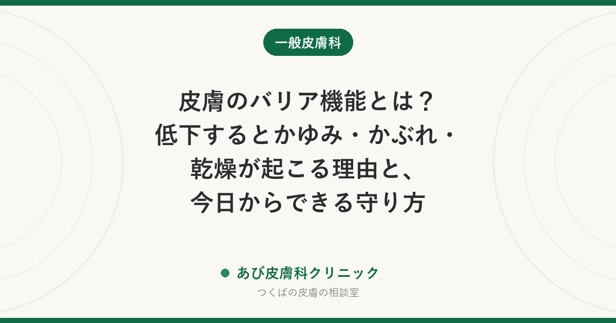 皮膚のバリア機能とは？低下するとかゆみ・かぶれ・乾燥が起こる理由と、今日からできる守り方