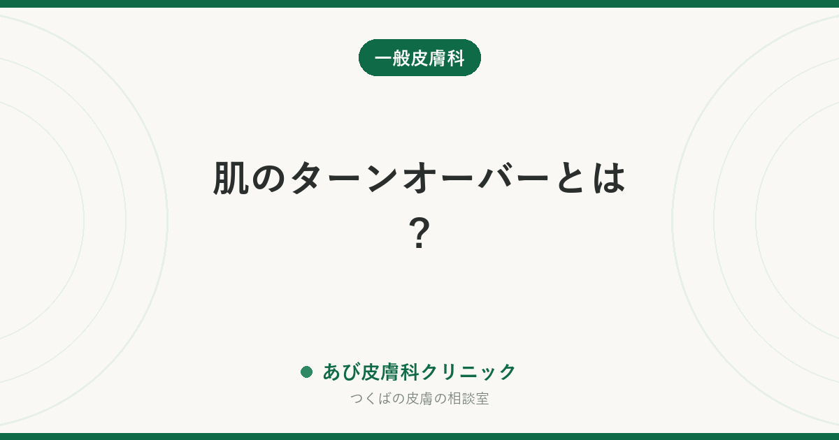 肌のターンオーバーとは？｜「28日周期」の誤解と、早めても遅くしてもいけない理由