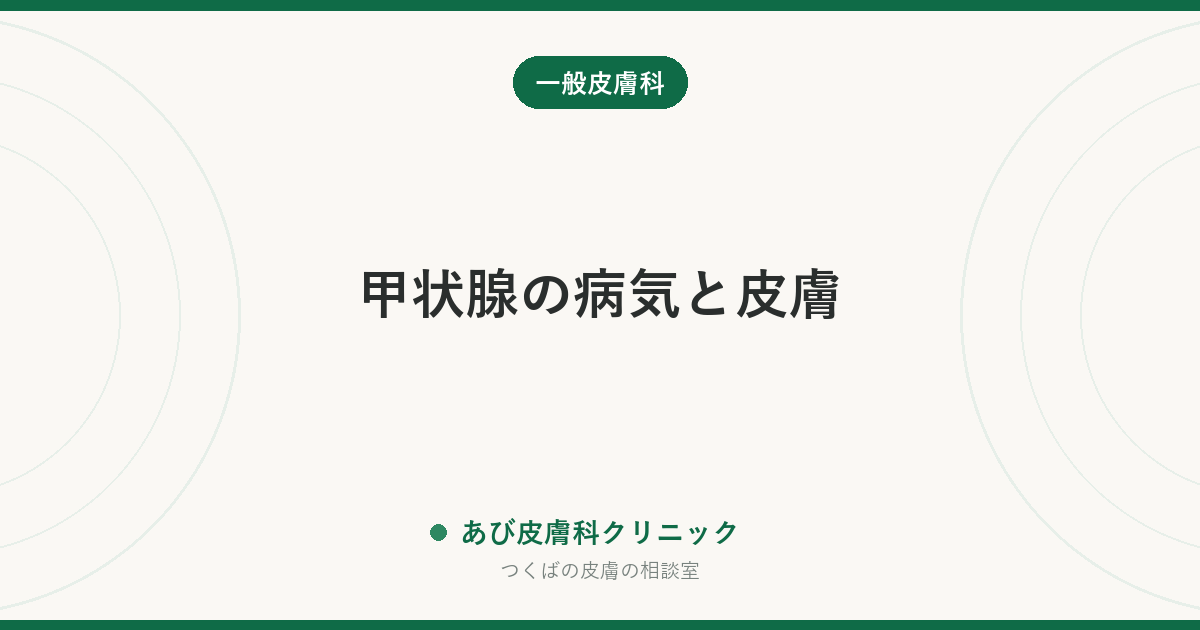 甲状腺の病気と皮膚｜乾燥・かゆみ・抜け毛・むくみが治らないときに考えたいこと