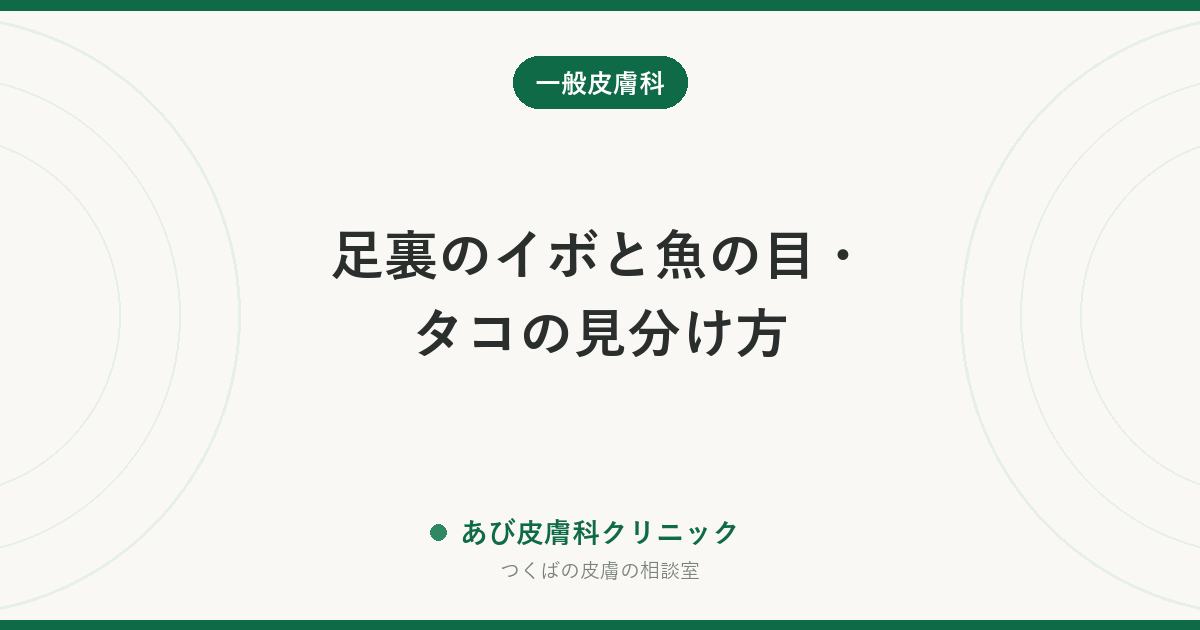 足裏のイボと魚の目・タコの見分け方｜黒い点・痛み方の違いと、削ってはいけない理由