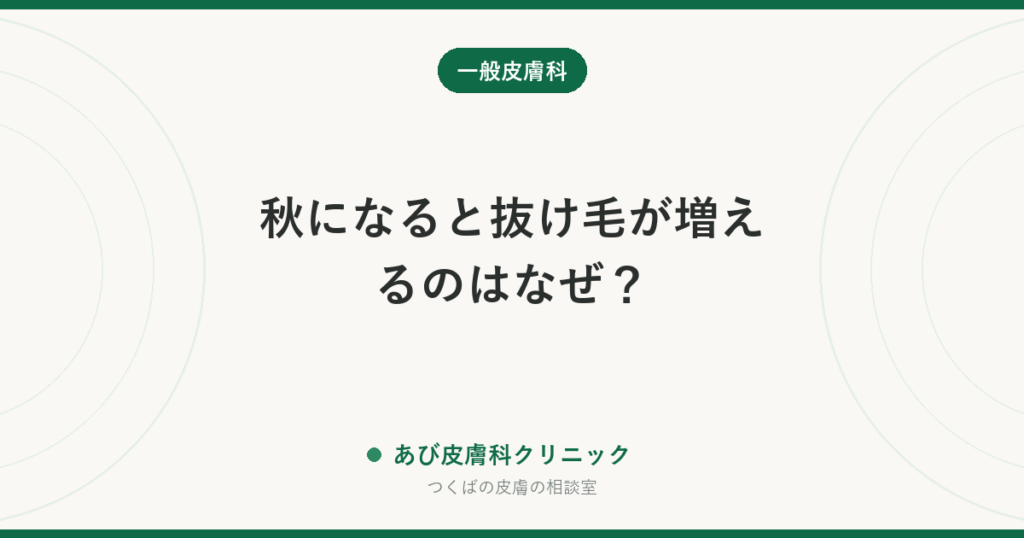 秋になると抜け毛が増えるのはなぜ？｜季節の抜け毛と、受診したほうがよい脱毛症の見分け方