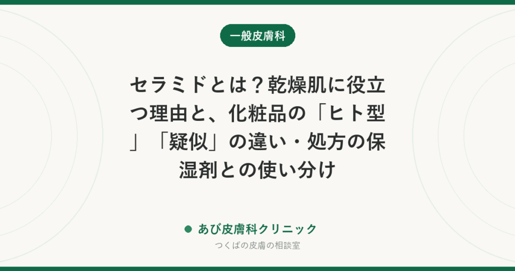 セラミドとは？乾燥肌に役立つ理由と、化粧品の「ヒト型」「疑似」の違い・処方の保湿剤との使い分け