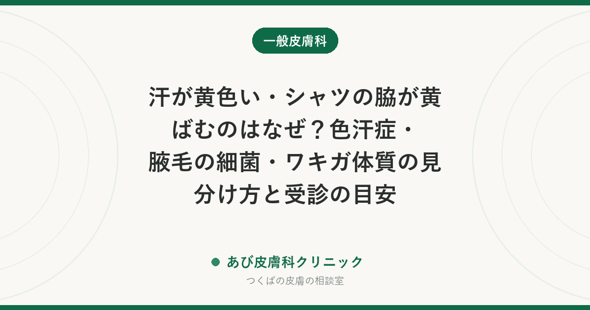 汗が黄色い・シャツの脇が黄ばむのはなぜ？色汗症・腋毛の細菌・ワキガ体質の見分け方と受診の目安