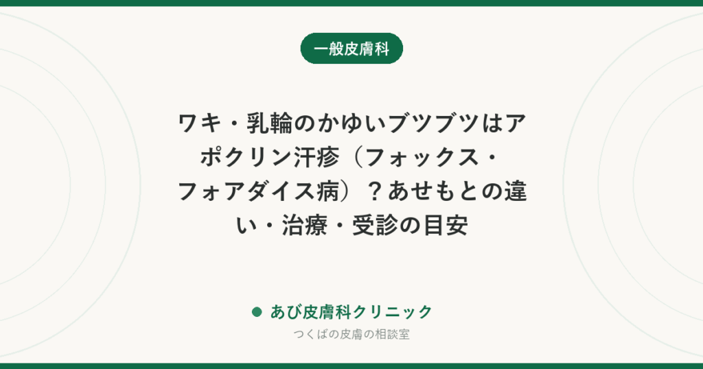 ワキ・乳輪のかゆいブツブツはアポクリン汗疹（フォックス・フォアダイス病）？あせもとの違い・治療・受診の目安