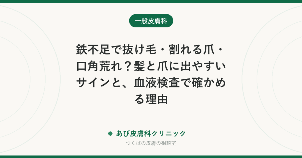 鉄不足で抜け毛・割れる爪・口角荒れ？髪と爪に出やすいサインと、血液検査で確かめる理由