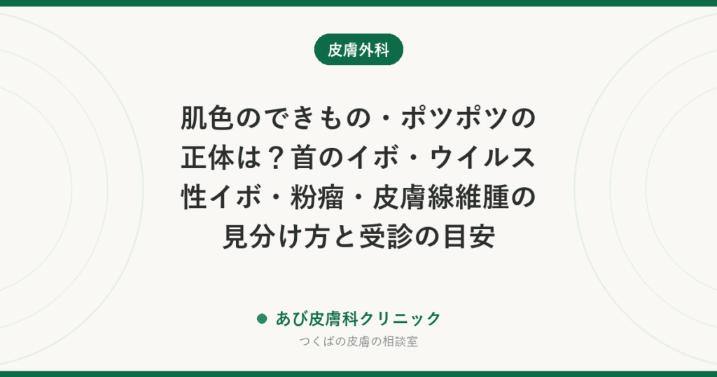 肌色のできもの・ポツポツの正体は？首のイボ・ウイルス性イボ・粉瘤・皮膚線維腫の見分け方と受診の目安