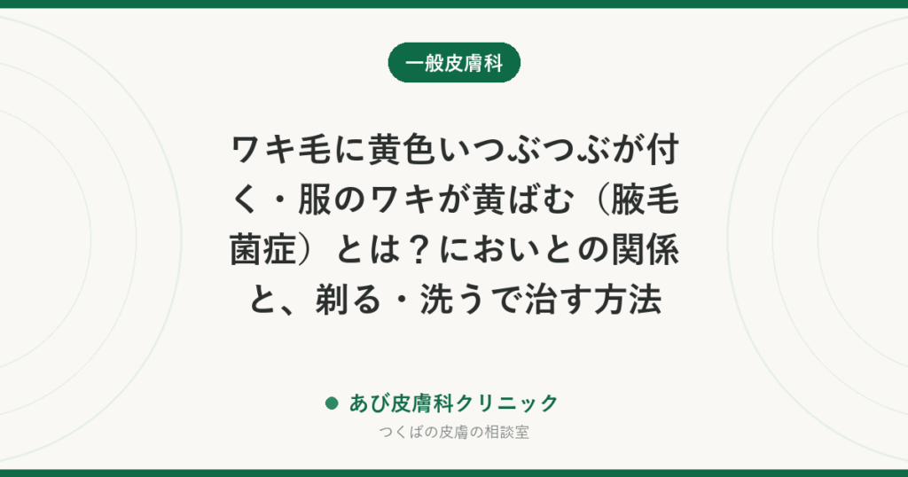ワキ毛に黄色いつぶつぶが付く・服のワキが黄ばむ（腋毛菌症）とは？においとの関係と、剃る・洗うで治す方法