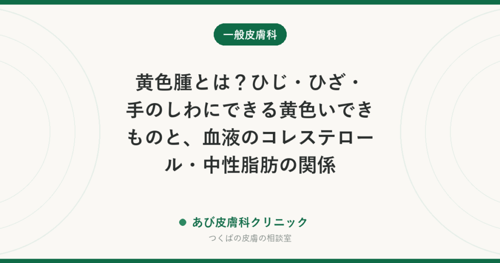 黄色腫とは？ひじ・ひざ・手のしわにできる黄色いできものと、血液のコレステロール・中性脂肪の関係
